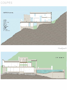 picture of Single-Family Homes and New Build 