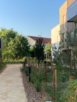 picture of Townhouses and New Build 