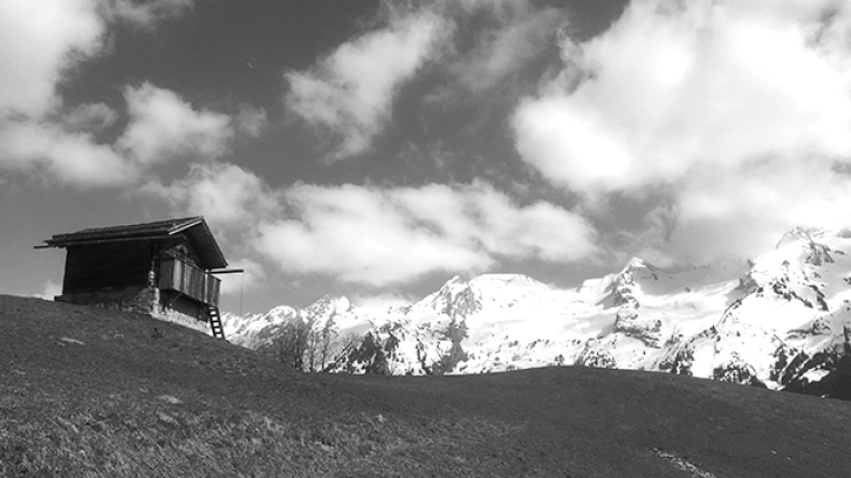 Maison individuelle, Chalet / Maison en bois, Rénovation, Maison de campagne, Construction neuve, Étude de faisabilité, Réhabilitation, Traditionnel, Ancien, Historique