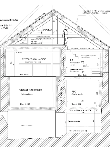 Single-Family Homes, Feasibility Studies, Restoration, contemporary